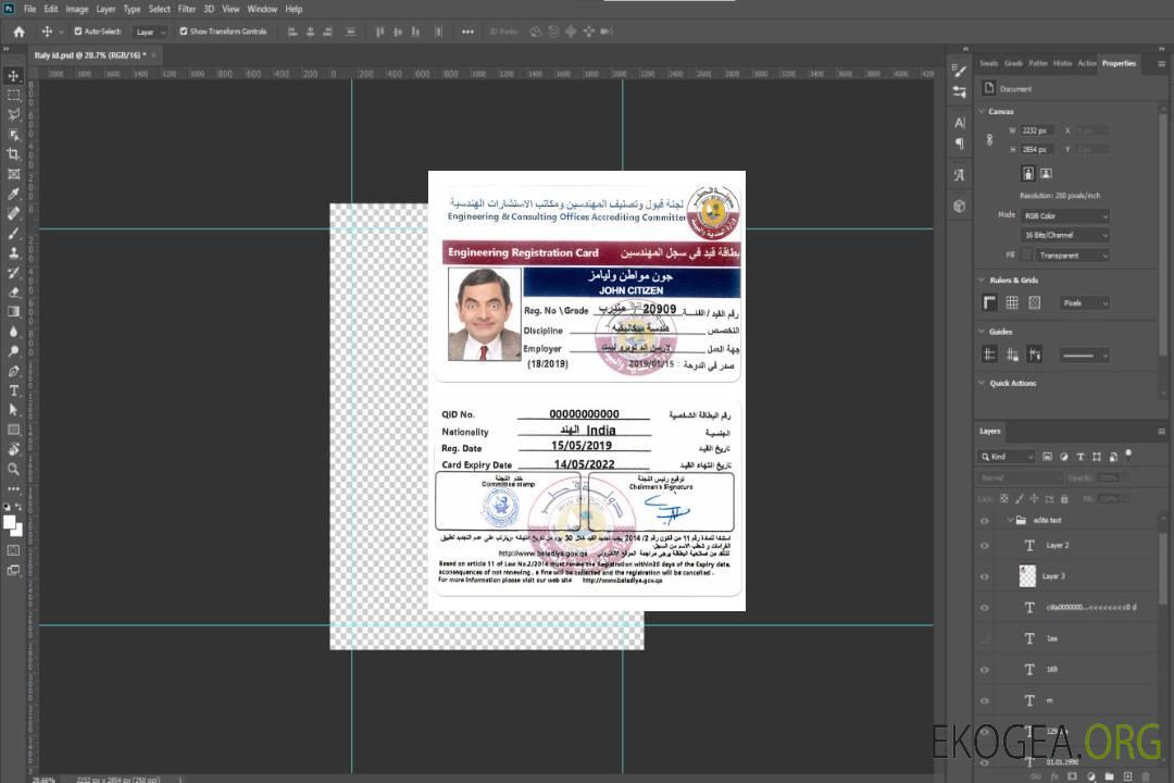 Carte d'immatriculation du QATAR template